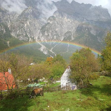 Bujtina Milani Bed and Breakfast Shkodër Exteriör bild