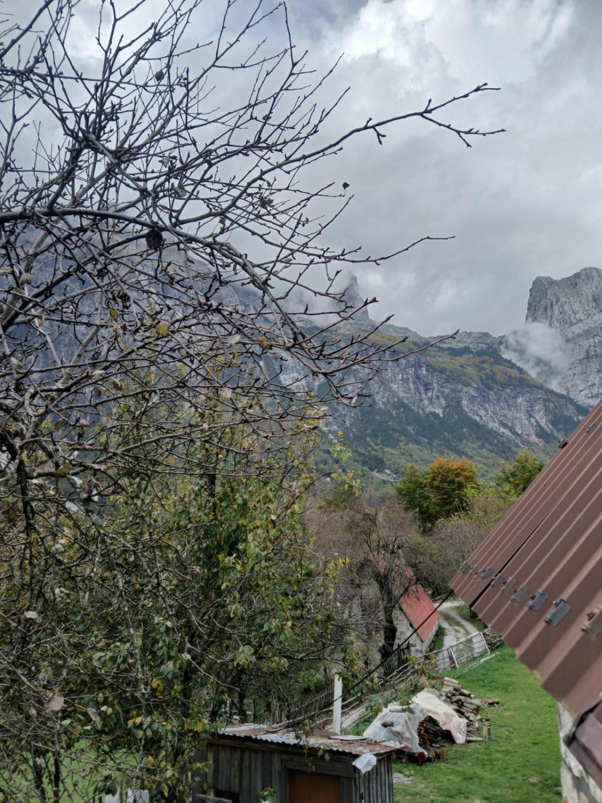 Bujtina Milani Bed and Breakfast Shkodër Exteriör bild
