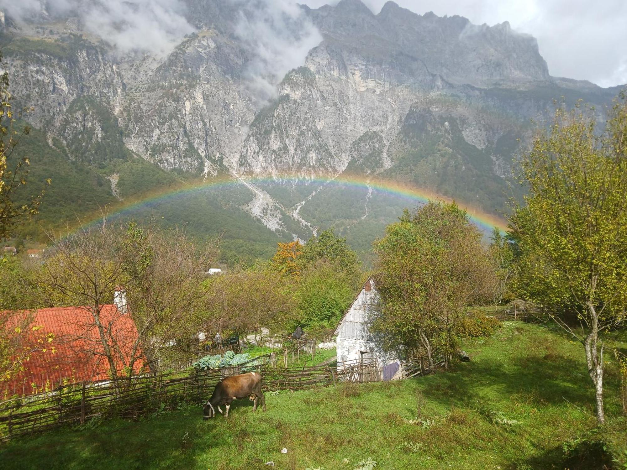 Bujtina Milani Bed and Breakfast Shkodër Exteriör bild